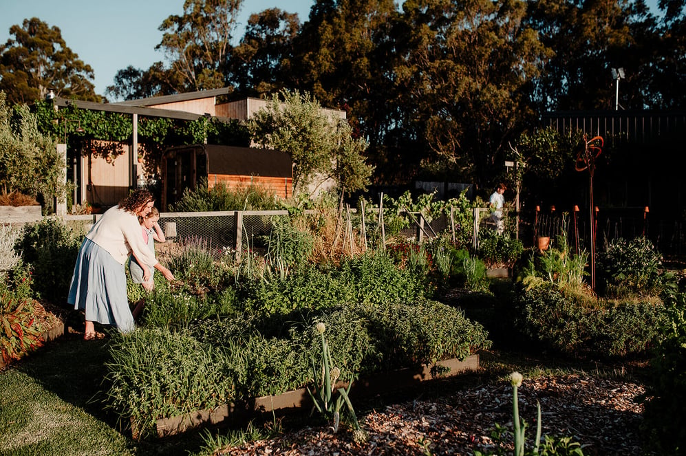 Lucknow Project Vegetable Garden