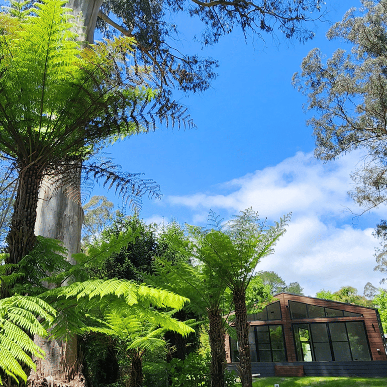 Aspendale Warburton Project - Rear Exterior