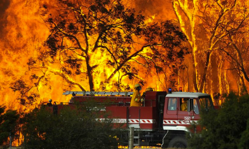 What is a Bushfire Management Overlay?